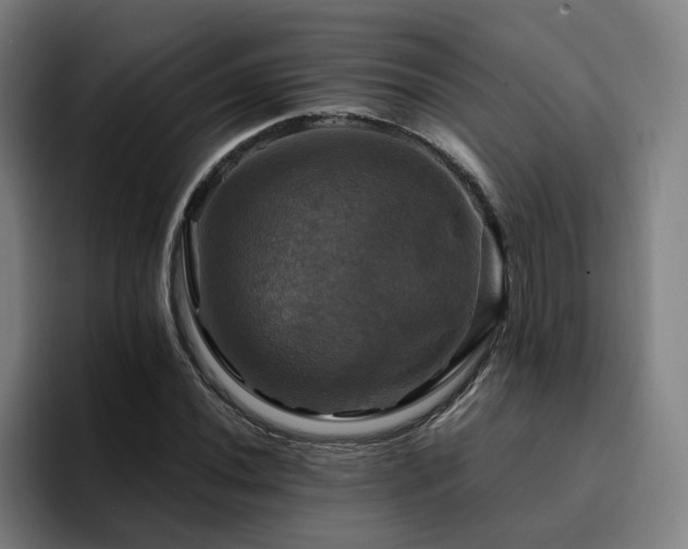X0000094901020200712061024