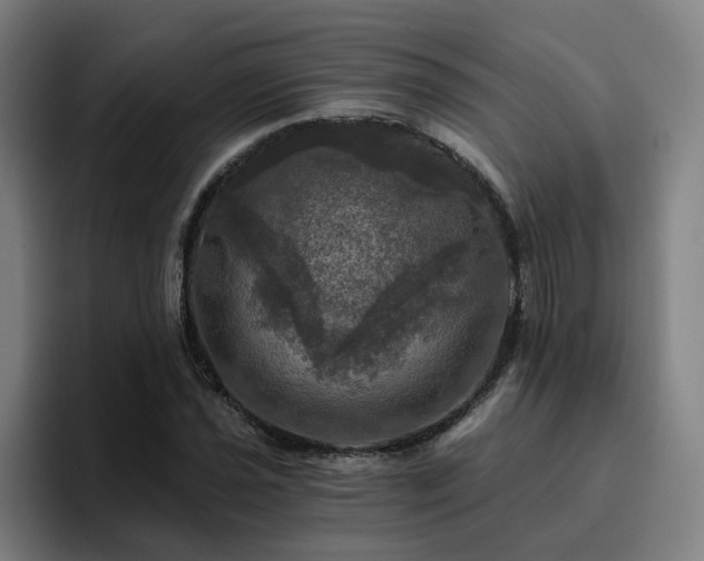X0000094901021200712061024