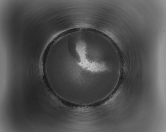 X0000094901022200712061024