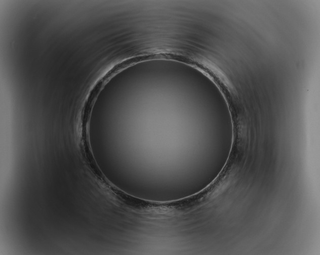 X0000094901023200712061024