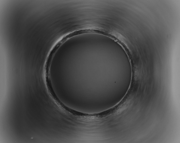 X0000094901024200712061024