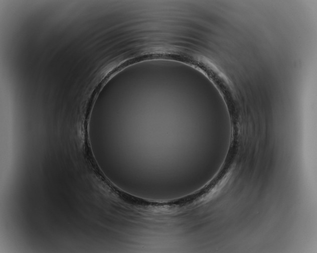 X0000094901025200712061024