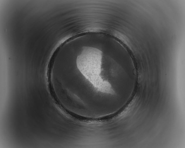 X0000094901026200712061024