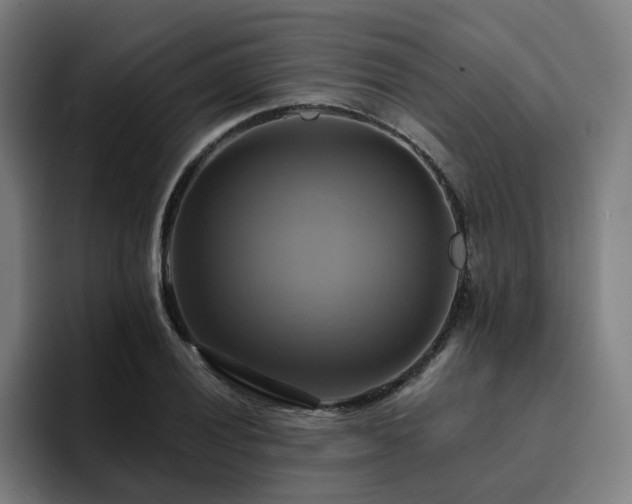 X0000094901028200712061024