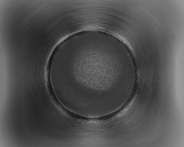 X0000094901029200712061024