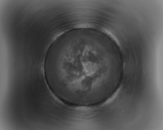 X0000094901033200712061024