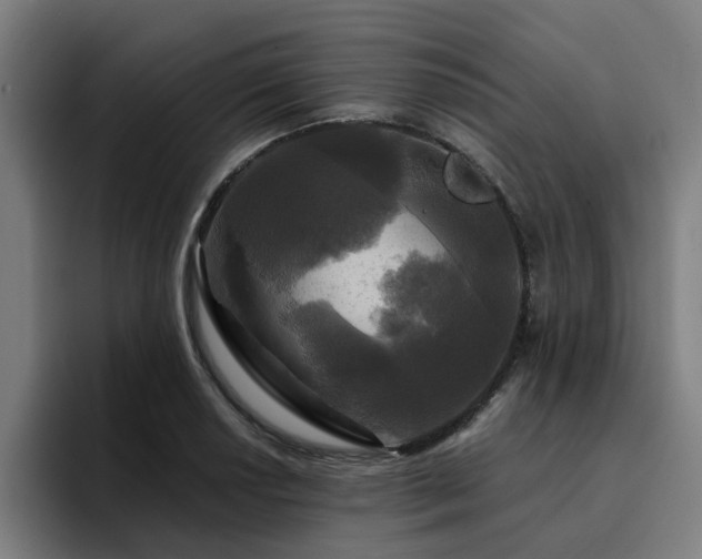 X0000094901034200712061024