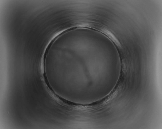 X0000094901036200712061024