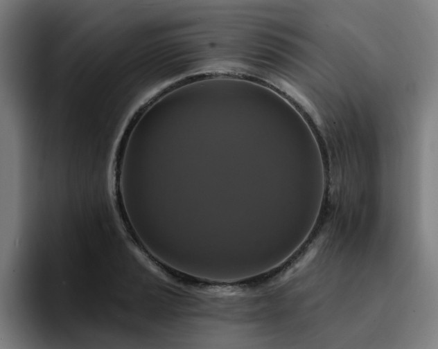 X0000094901037200712061024