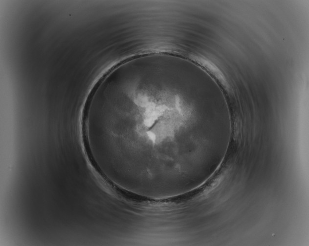 X0000094901039200712061024