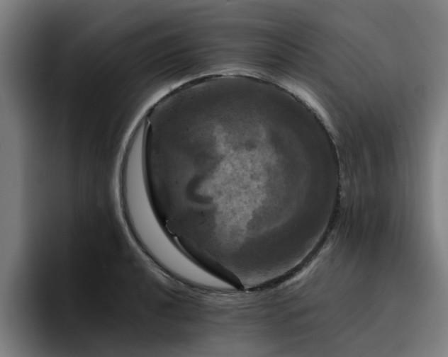 X0000094901040200712061024