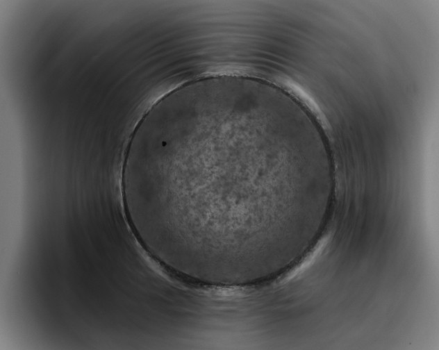 X0000094901041200712061024