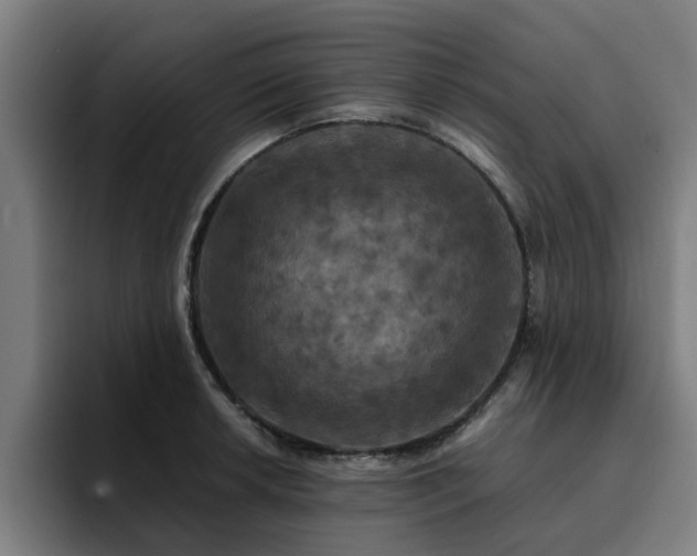 X0000094901042200712061024