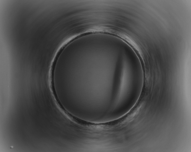 X0000094901045200712061024