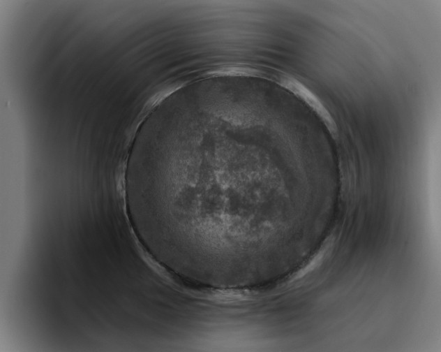 X0000094901049200712061024