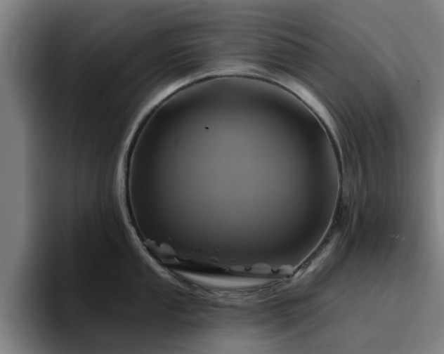 X0000094901053200712061024
