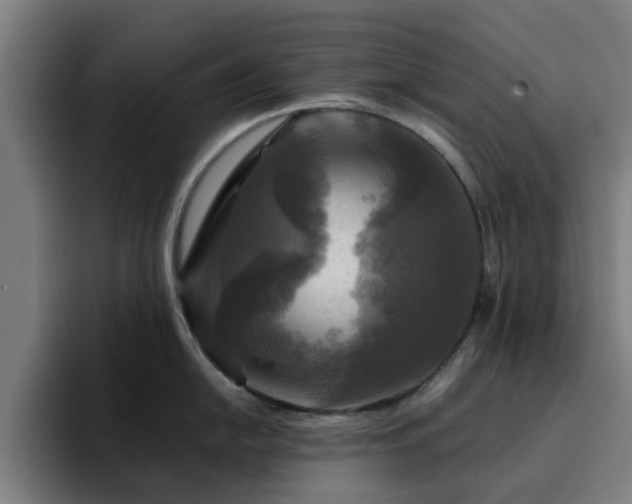 X0000094901054200712061024