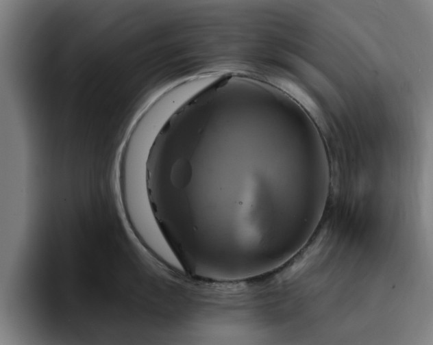 X0000094901055200712061024