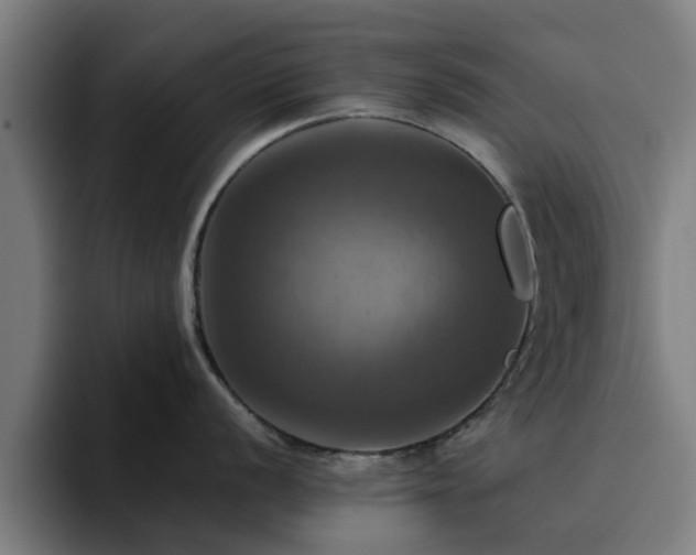 X0000094901056200712061025