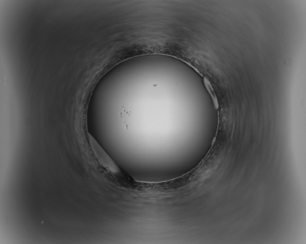X0000094901057200712061024
