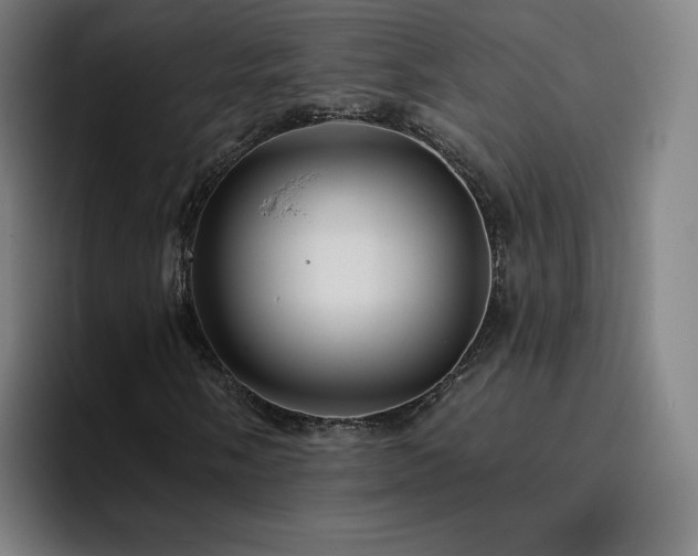 X0000094901058200712061024