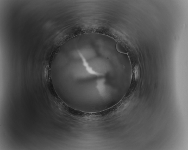 X0000094901059200712061024