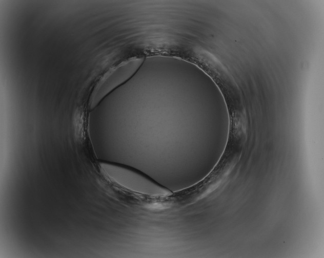 X0000094901060200712061024
