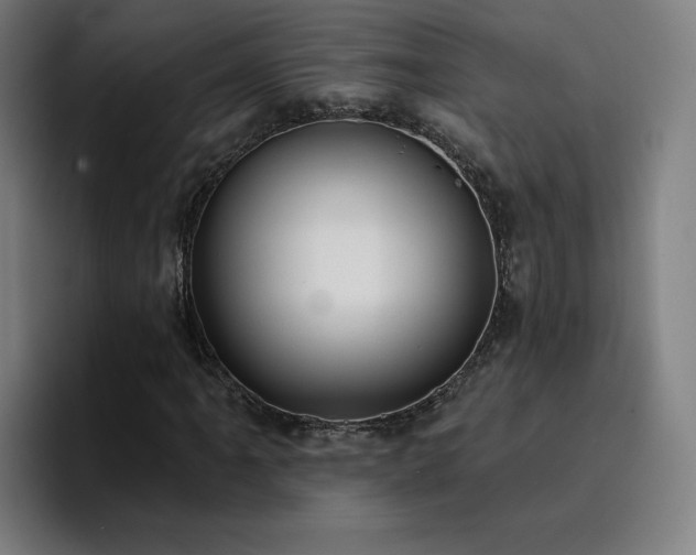X0000094901061200712061024