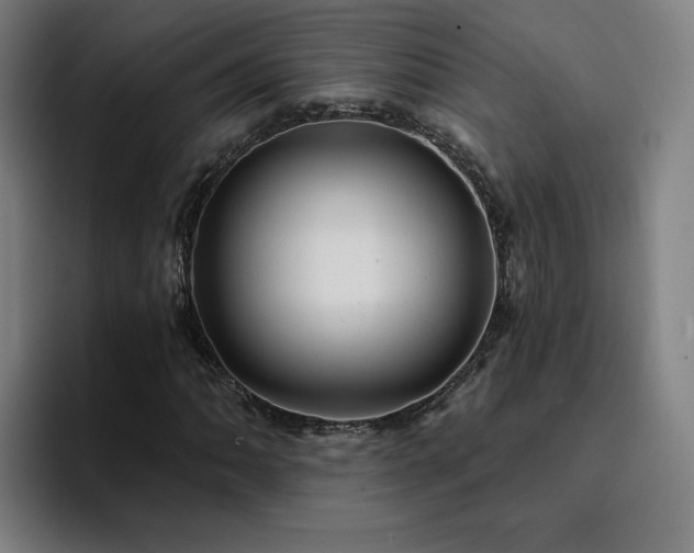 X0000094901062200712061024