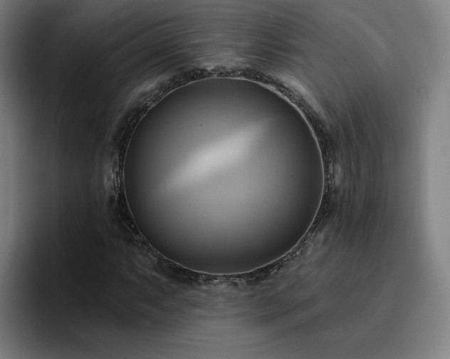 X0000094901063200712061024