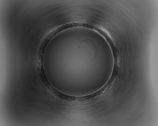 X0000094901064200712061024
