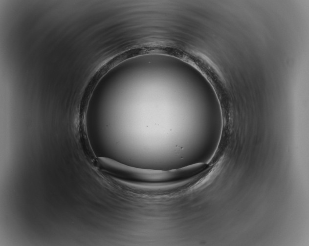 X0000094901065200712061024