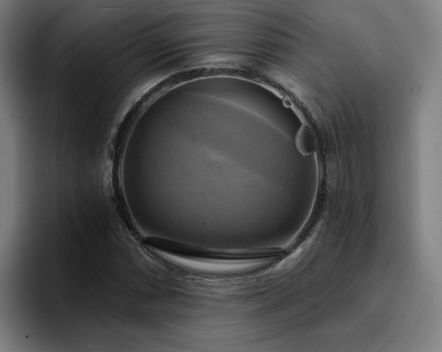 X0000094901066200712061024