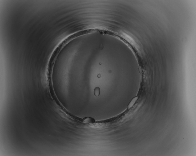 X0000094901068200712061024