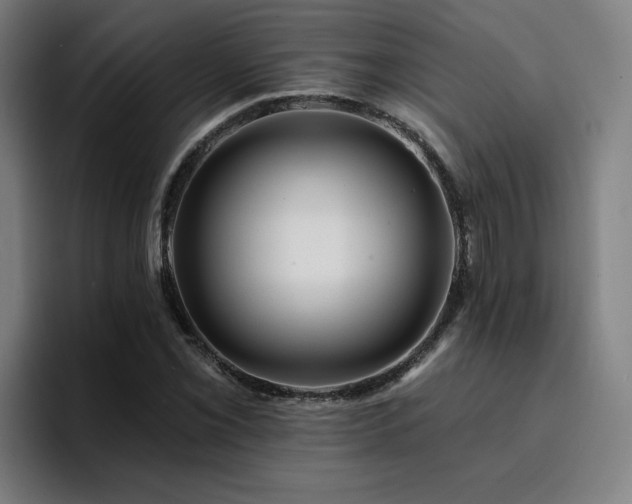X0000094901069200712061024