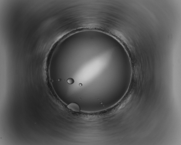 X0000094901071200712061024