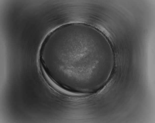 X0000094901072200712061024