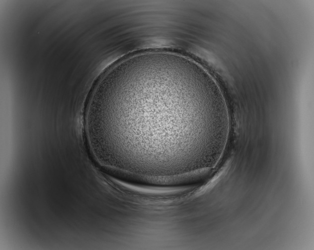 X0000094901073200712061024