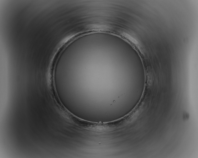 X0000094901074200712061024