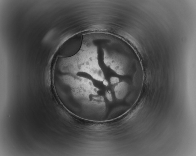 X0000094901075200712061024