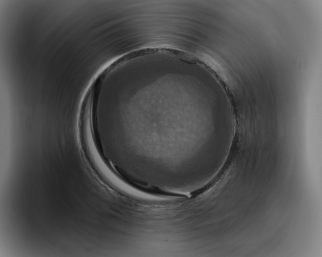 X0000094901076200712061024