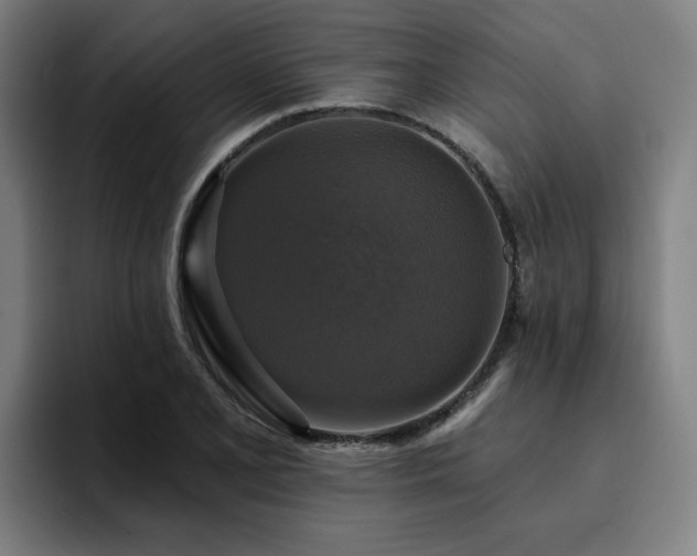 X0000094901077200712061024
