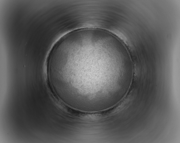 X0000094901078200712061024