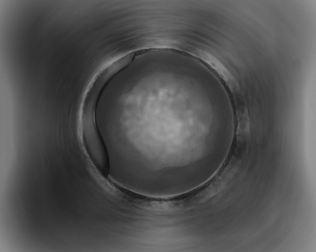 X0000094901080200712061024