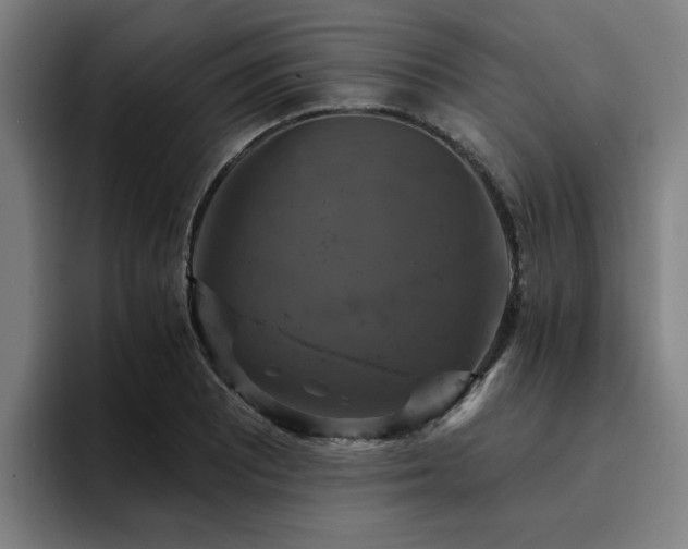 X0000094901081200712061024