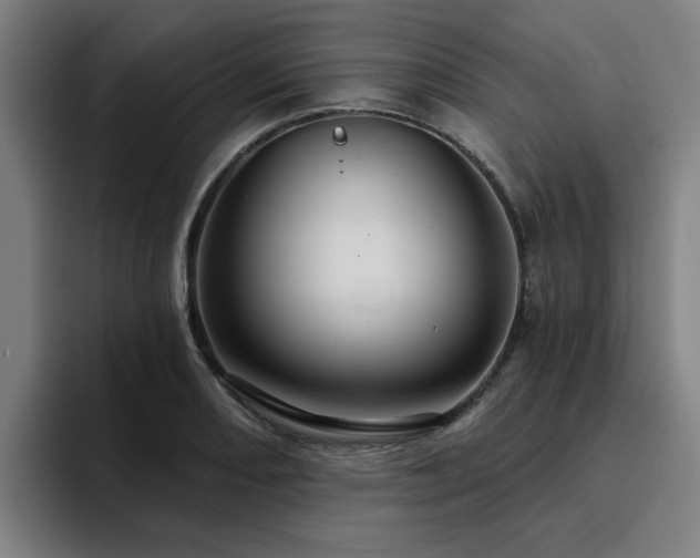 X0000094901082200712061024