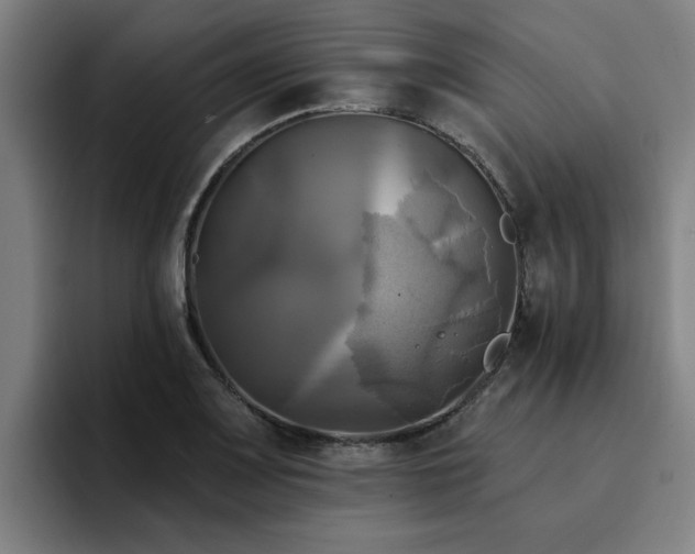 X0000094901083200712061024