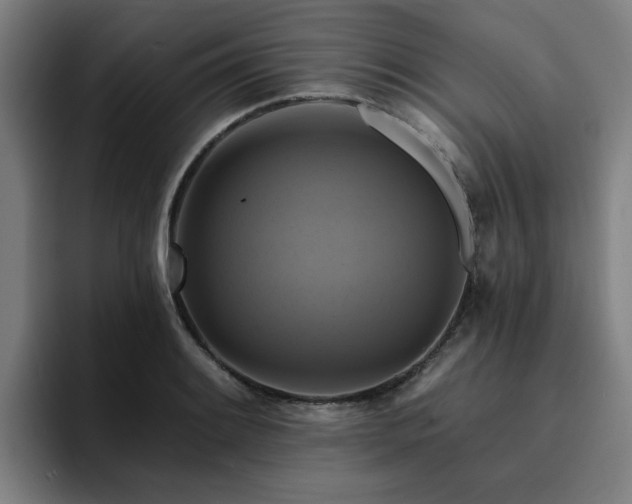 X0000094901084200712061024
