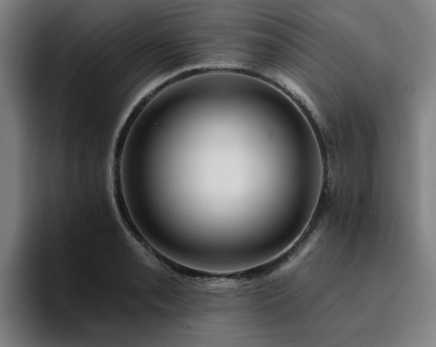 X0000094901085200712061024