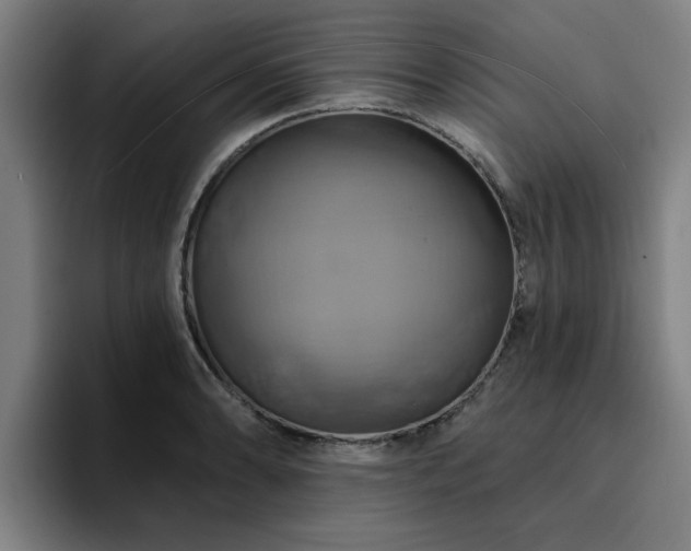 X0000094901086200712061023